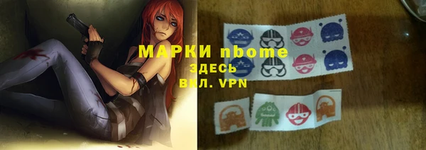 шишки Майский