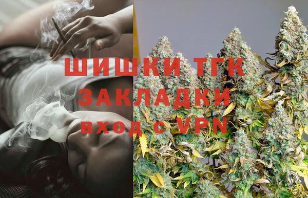 шишки Майский