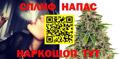 MDMA Гай