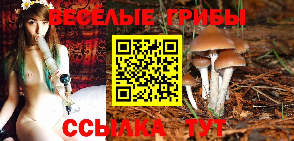 Галлюциногенные грибы Psilocybine cubensis  Галлюциногенные грибы MAGIC MUSHROOMS  как найти наркотики  Вход с VPN  Тольятти 