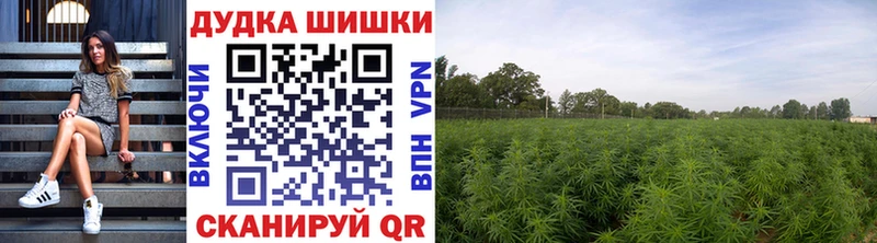 Конопля LSD WEED  купить  сайты  Тольятти 